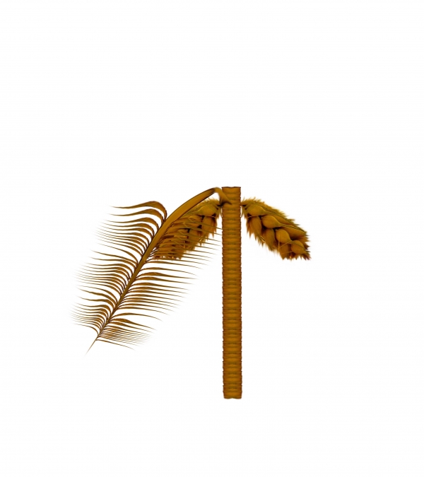 Creation of Coconut tree: Step 5